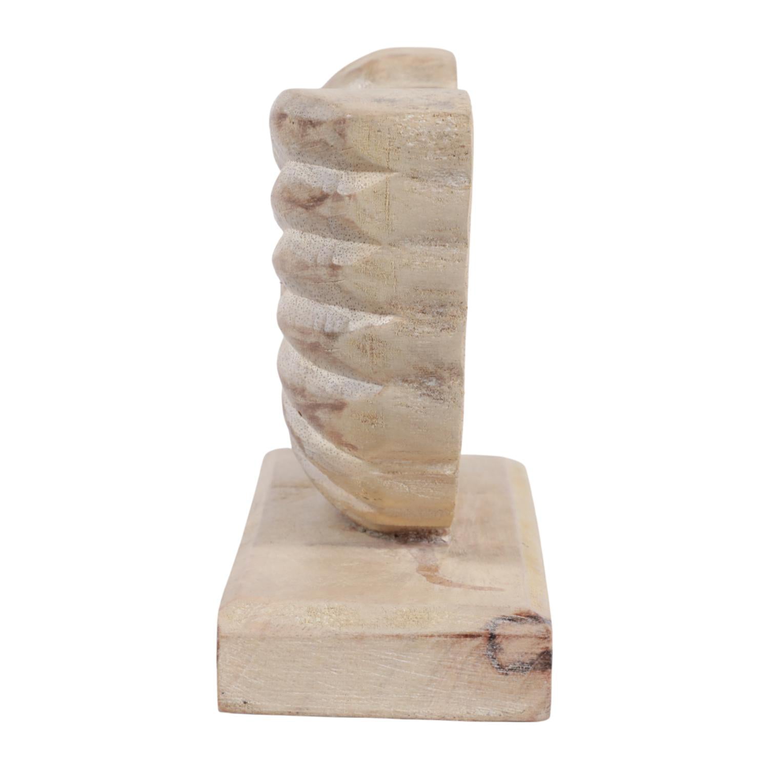 Figura 6X8X3 Beige Concha Marino Lv261