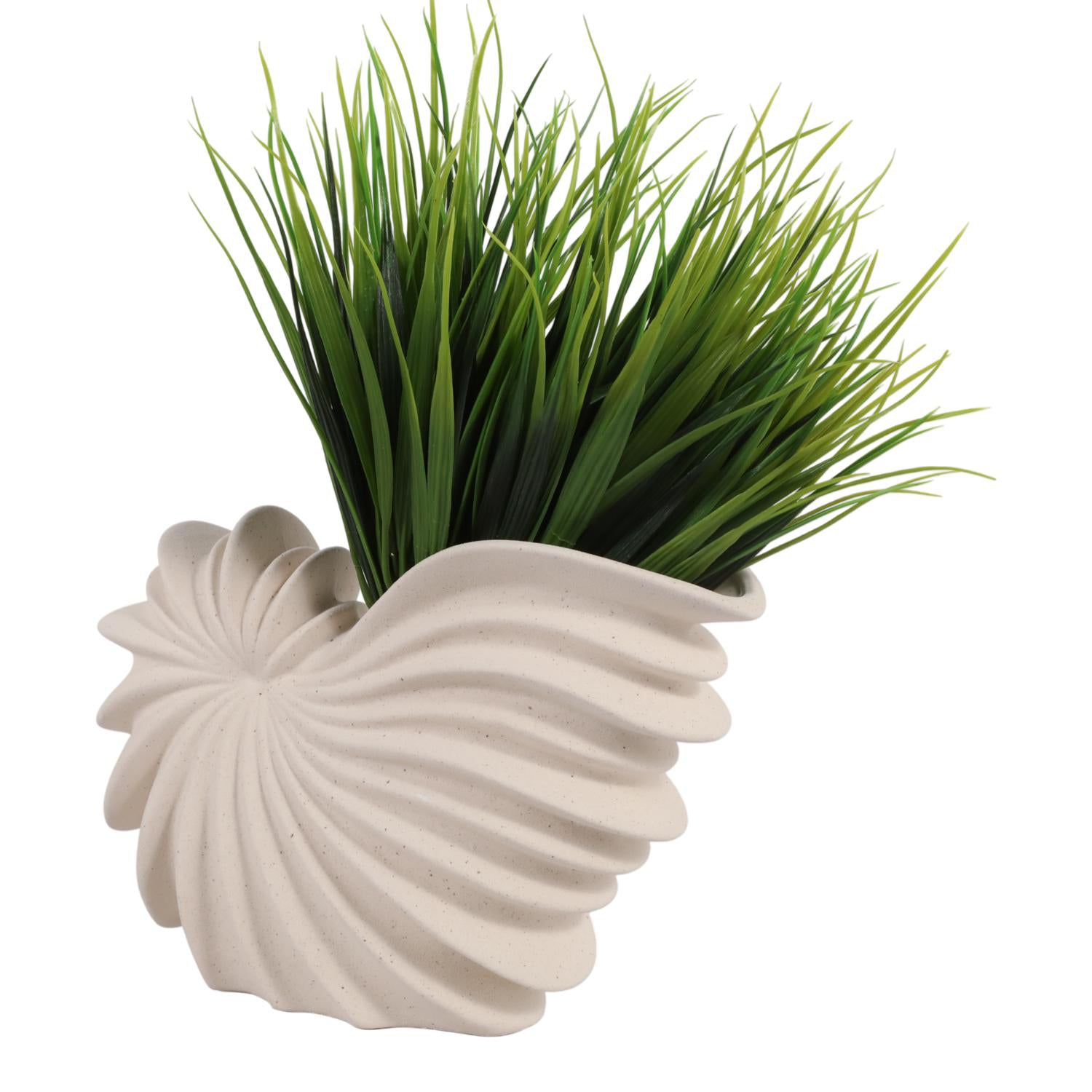 Figura 15X25X8 Beige Concha Marino Lv261