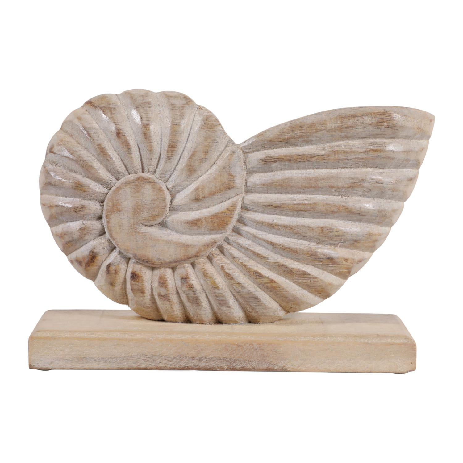 Figura 8X10X3 Beige Concha Marino Lv261