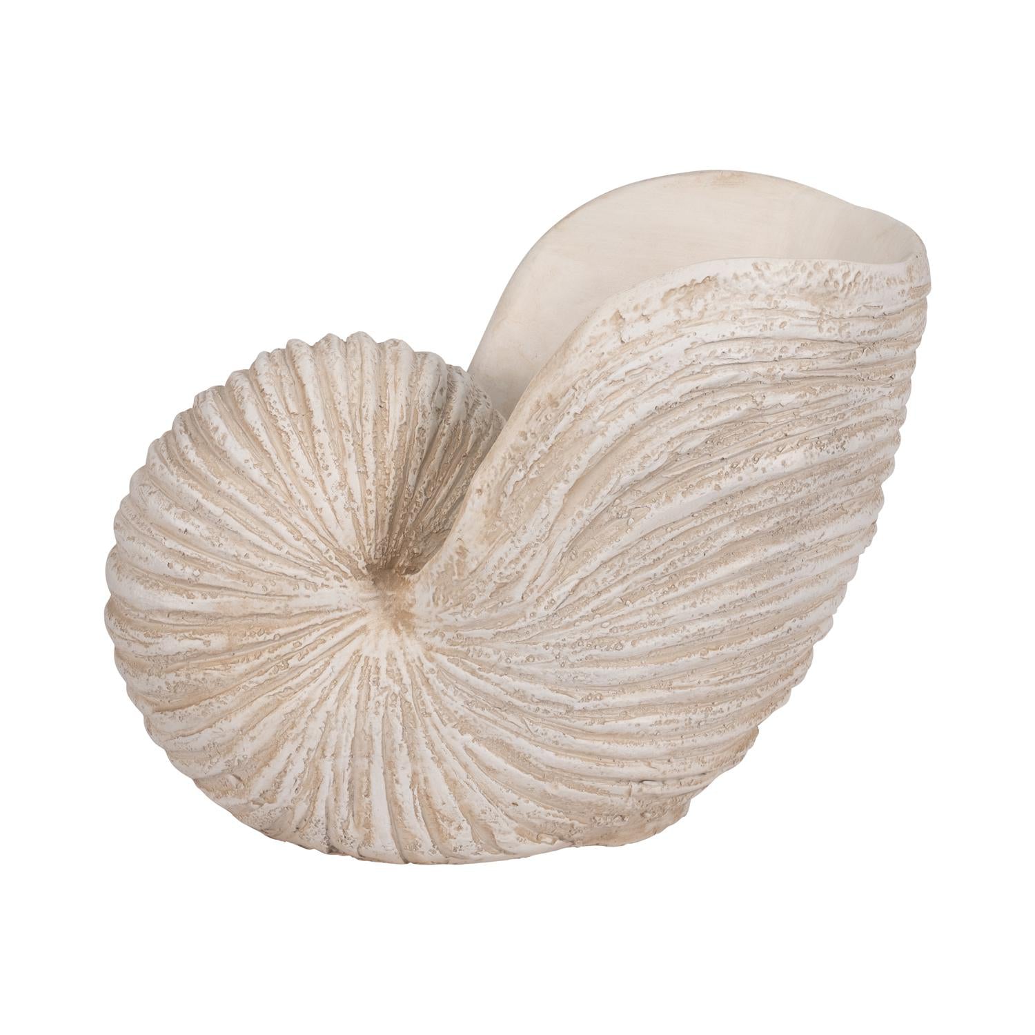 Figura 14X18X11 Bg Concha Marino Lv261