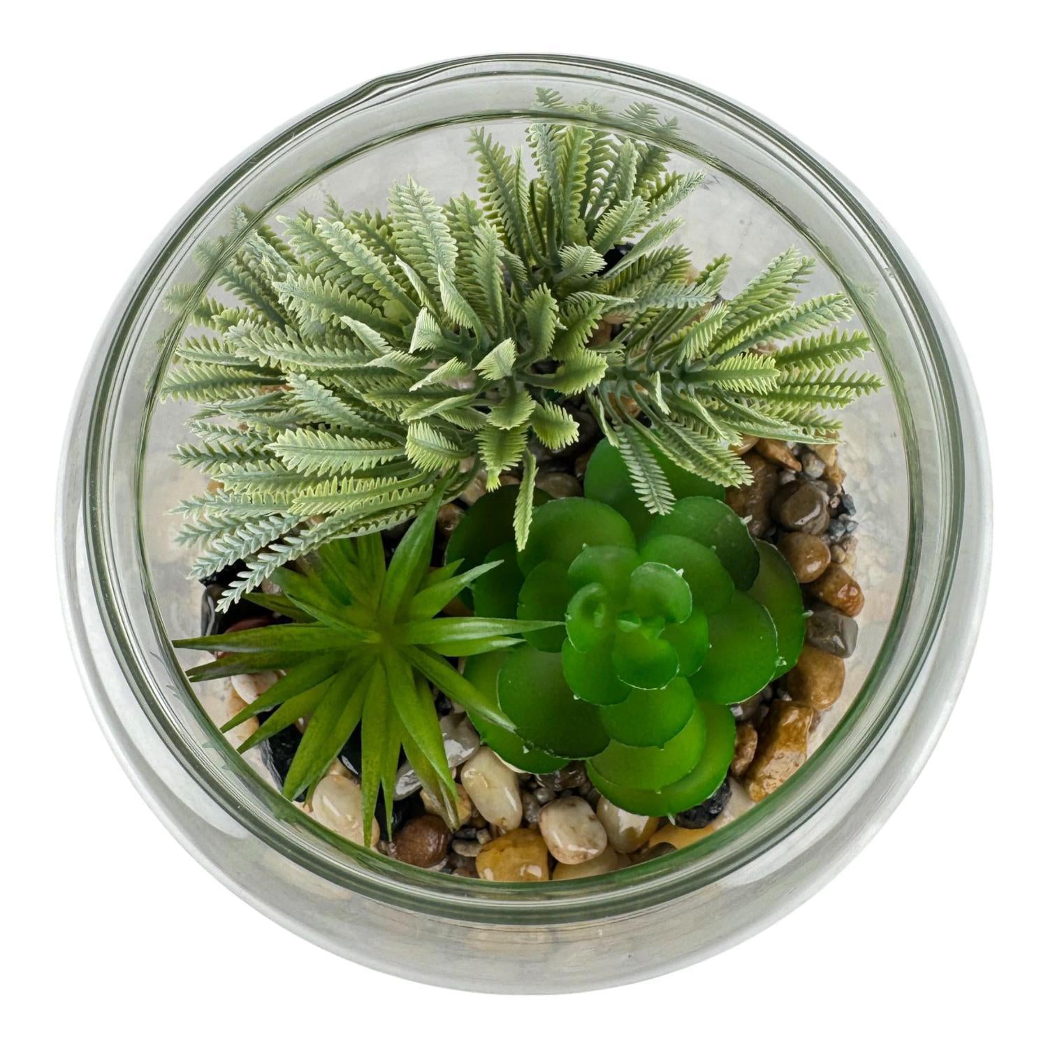 Planta Art 18X15X15Cm Suculenta F253