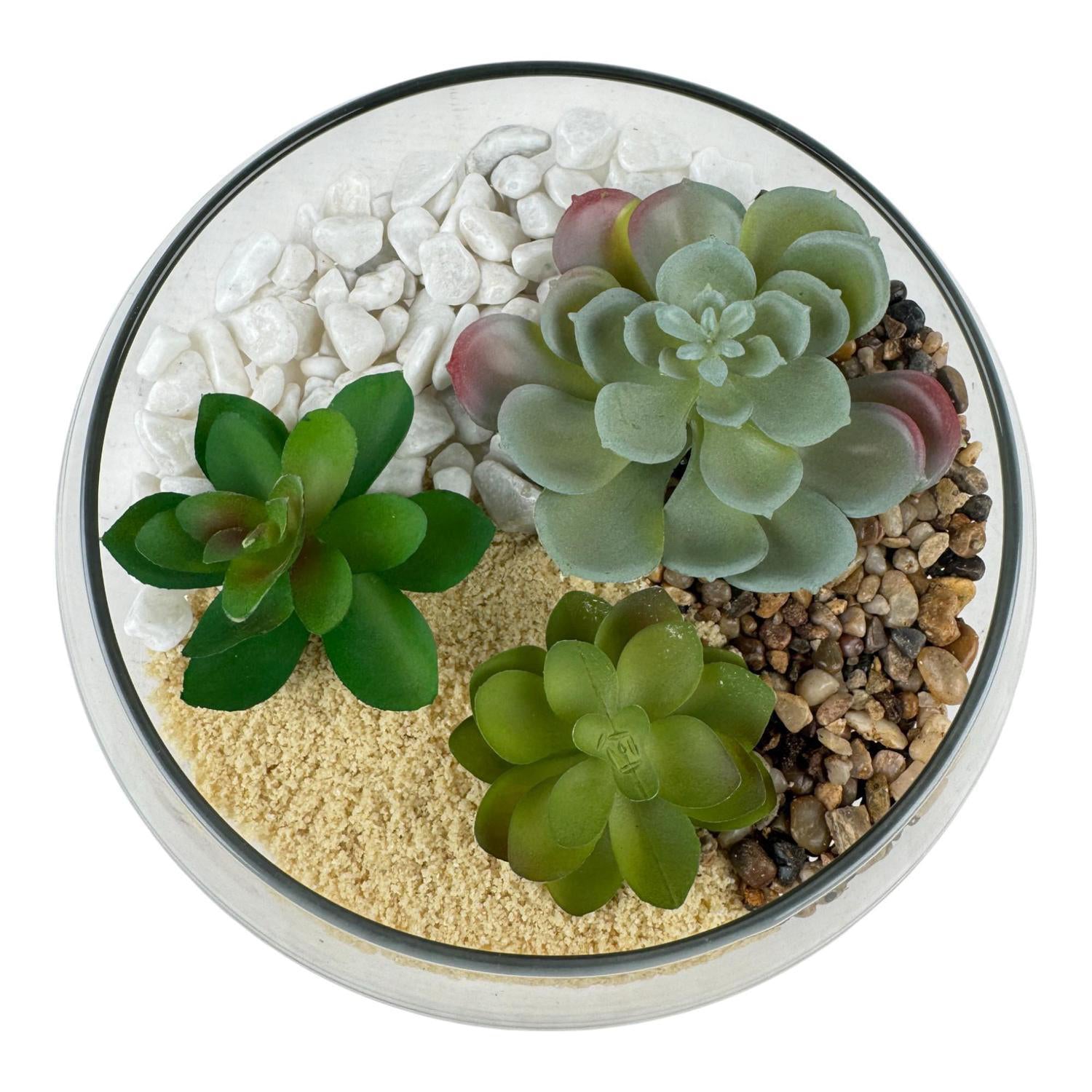 Planta Art 8X19X19Cm Suculenta F253