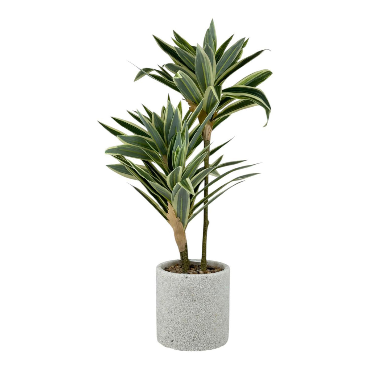 Planta Artificia 55X12.5Cm Dracaena F253