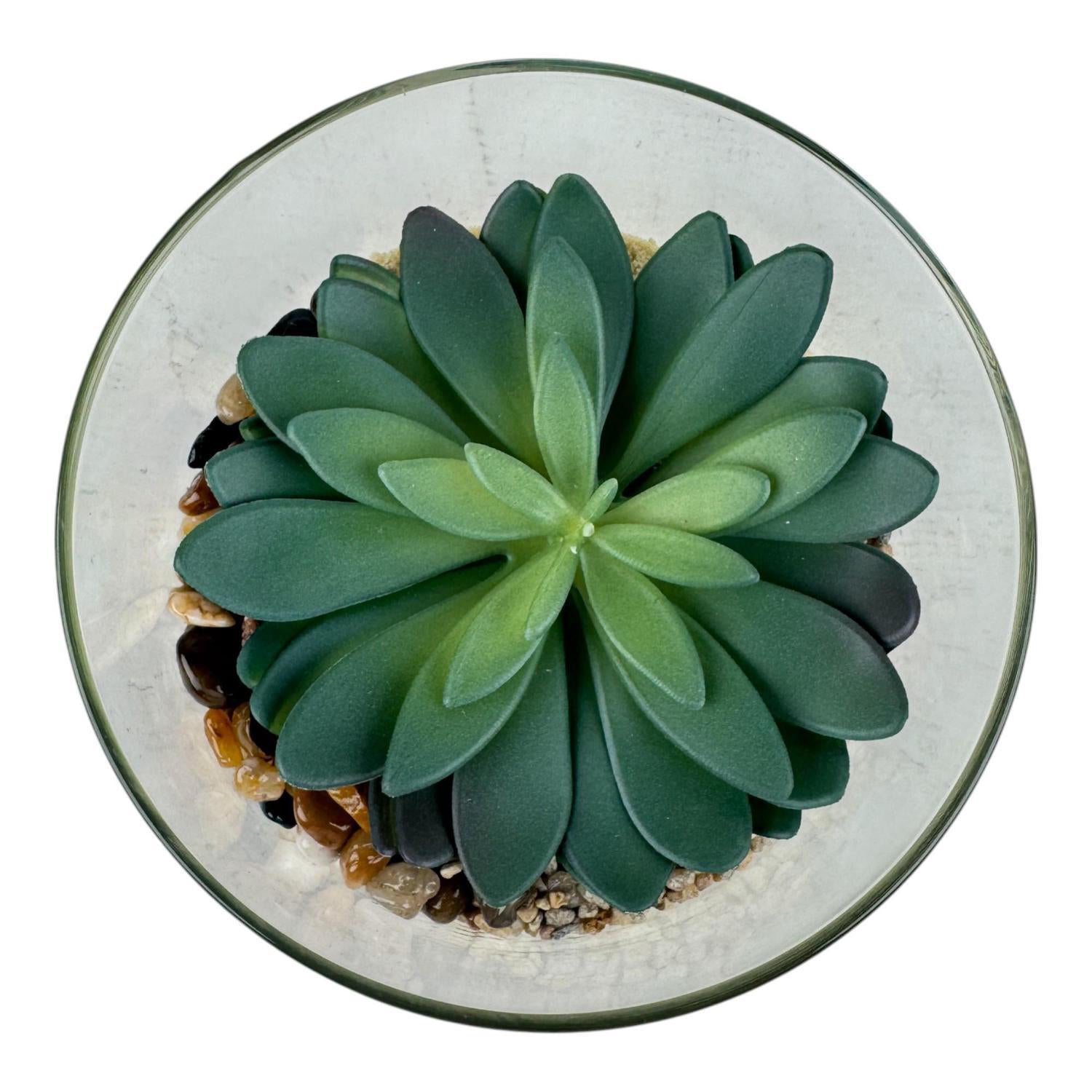 Planta Artificial 10X15Cm Suculenta F253