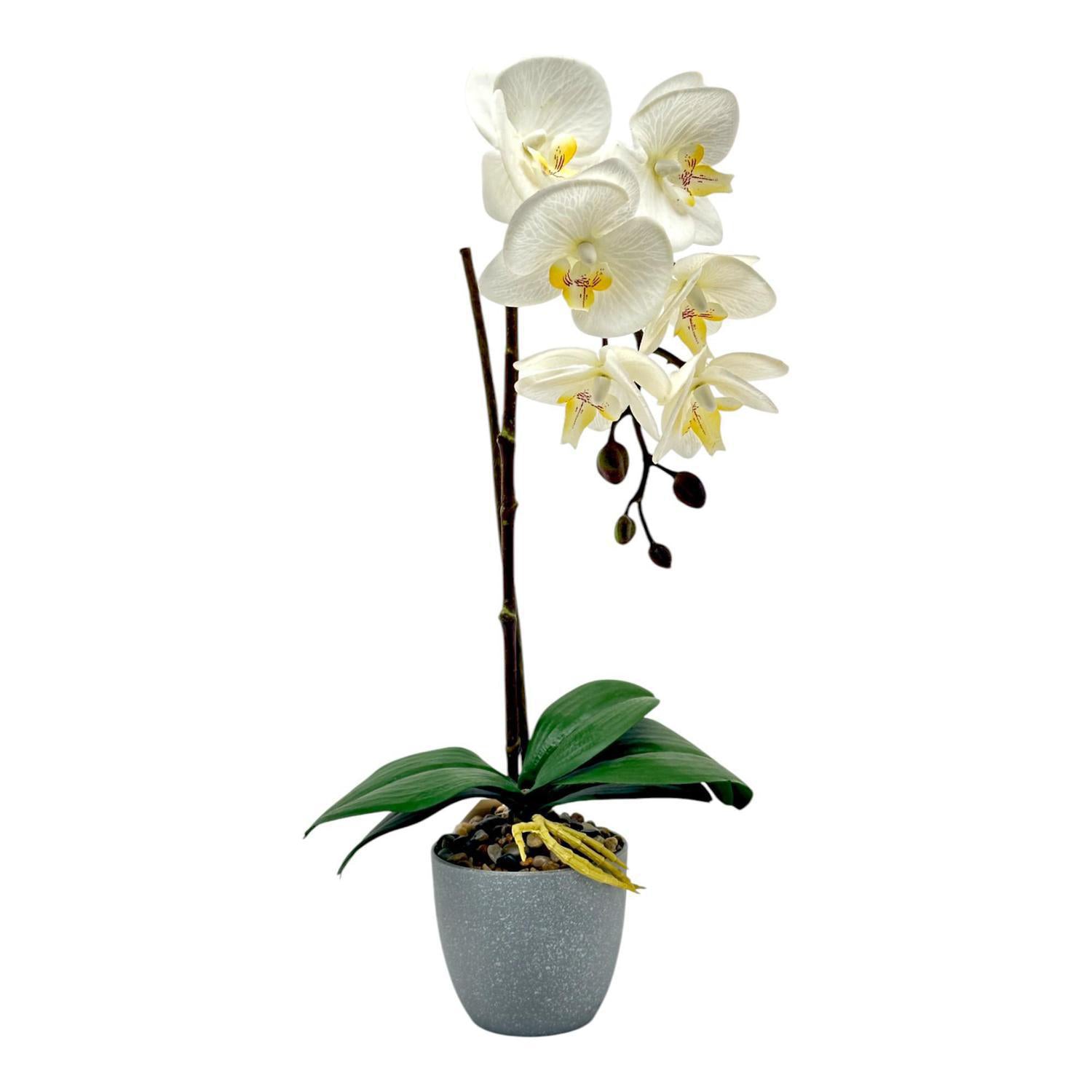 Planta Art 54X35X11.5 Blanco Orquid F253
