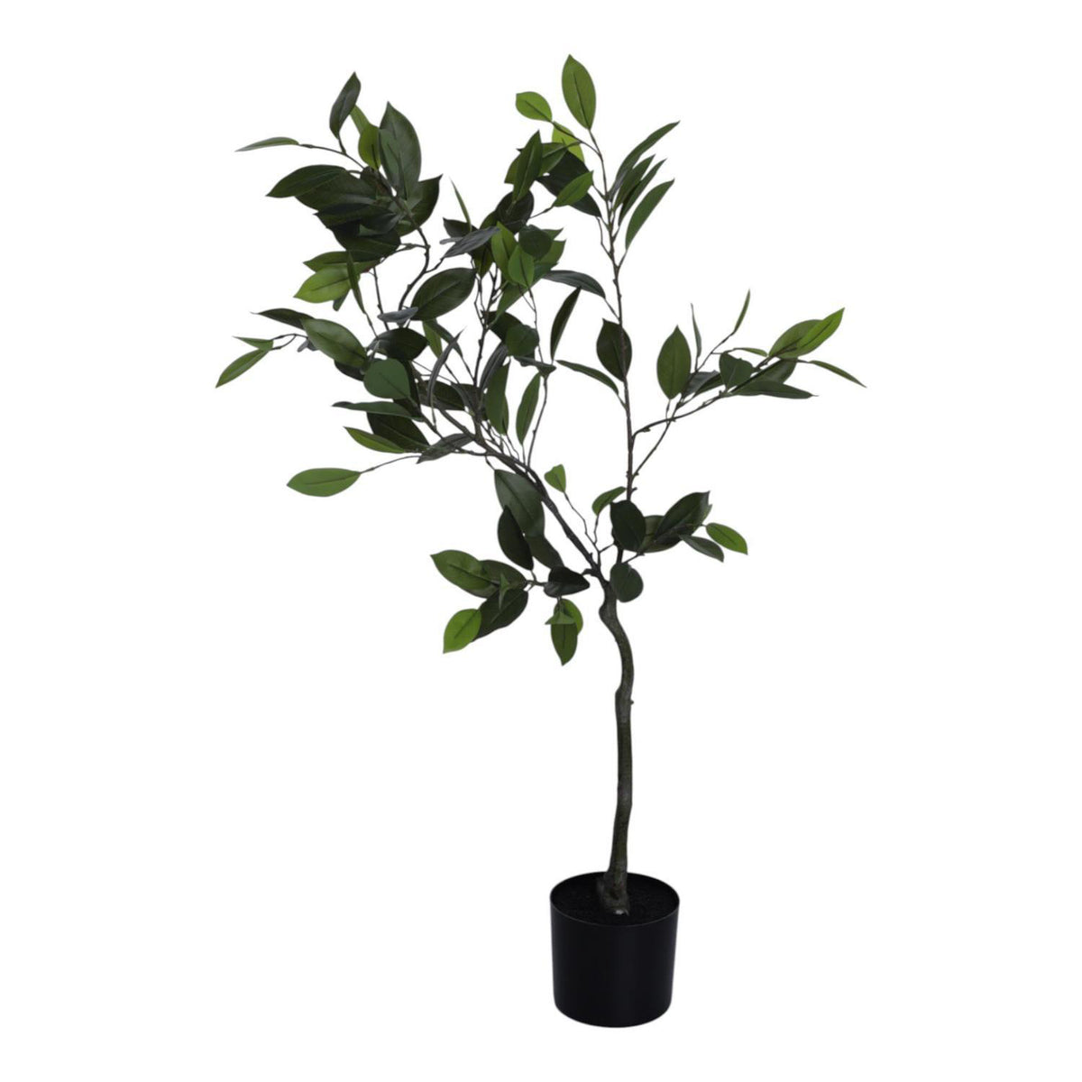 Planta Art 123X50X50 Verde Camelia F253