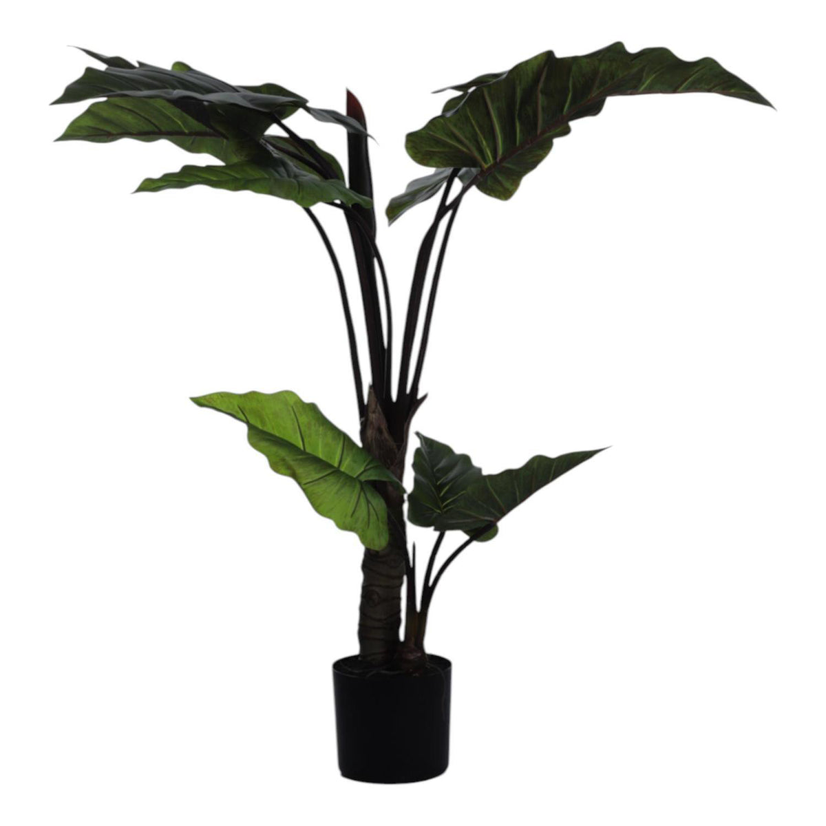 Planta Art 120X50X50 Verde Alocasia F253