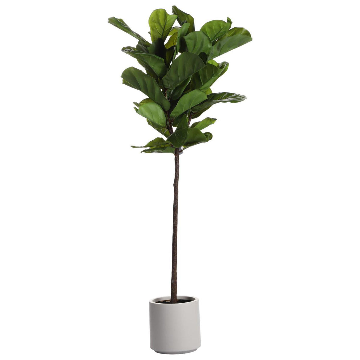 Planta Art 150X58X73Cm Verde Ficus F253