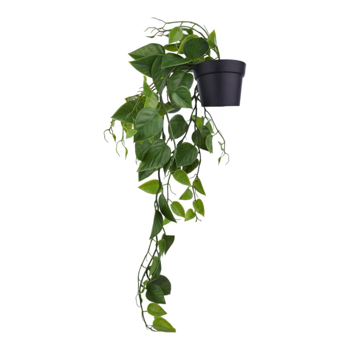 Planta Art 15X60X12Cm Verde Colgant F253