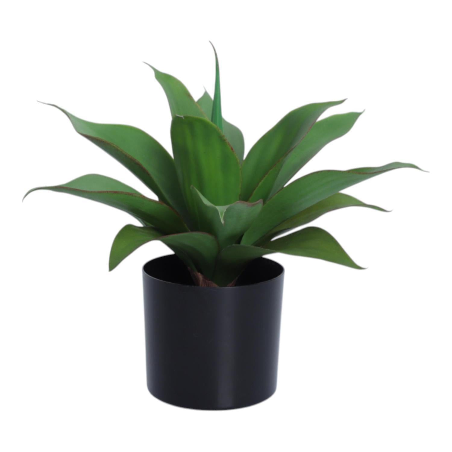 Planta Art 30X30Cm Verde Suculenta F253