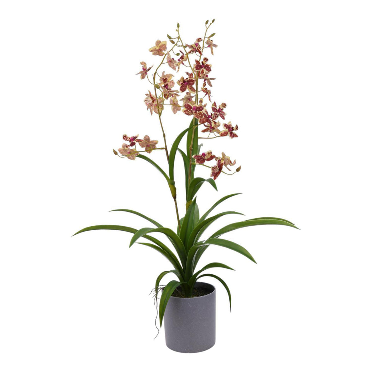 Planta Art 72X45X50Cm Orquidea Rosa F253