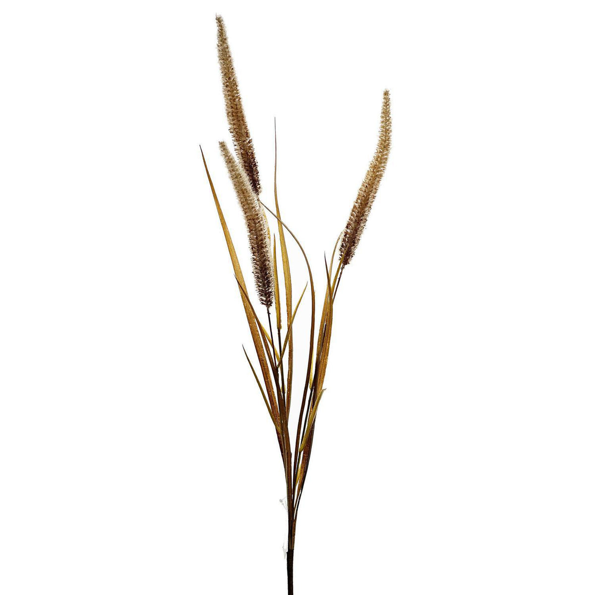Planta Art 90X1X1 Beige Espiga F253