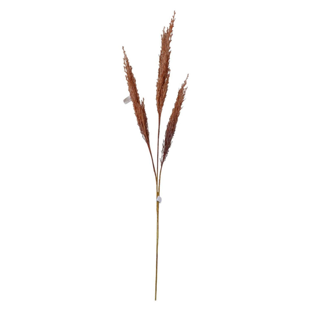 Planta Art 114X15X15 Café Espiga F253