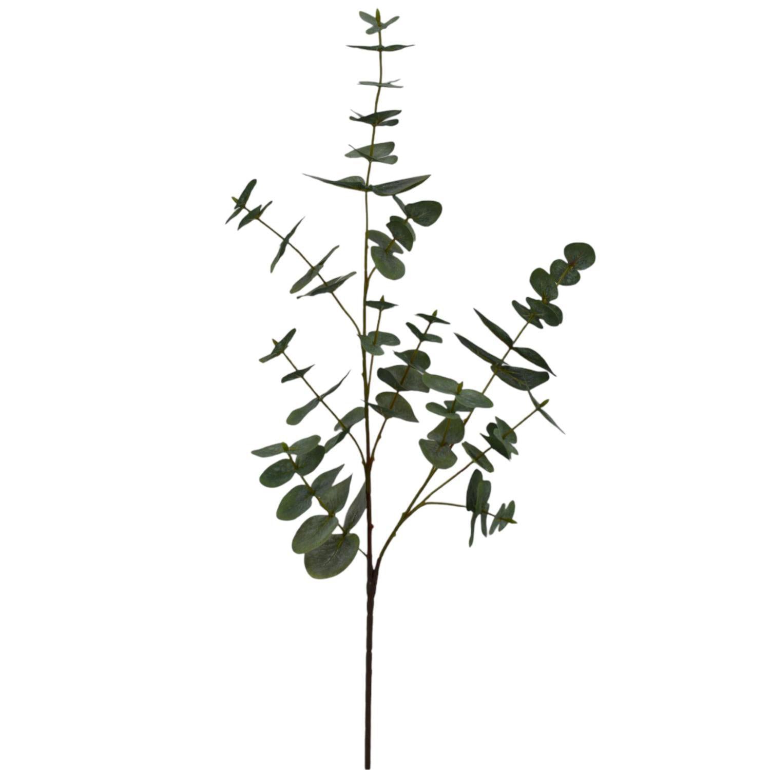 Planta Art 88X20 Verde Eucalipto F253