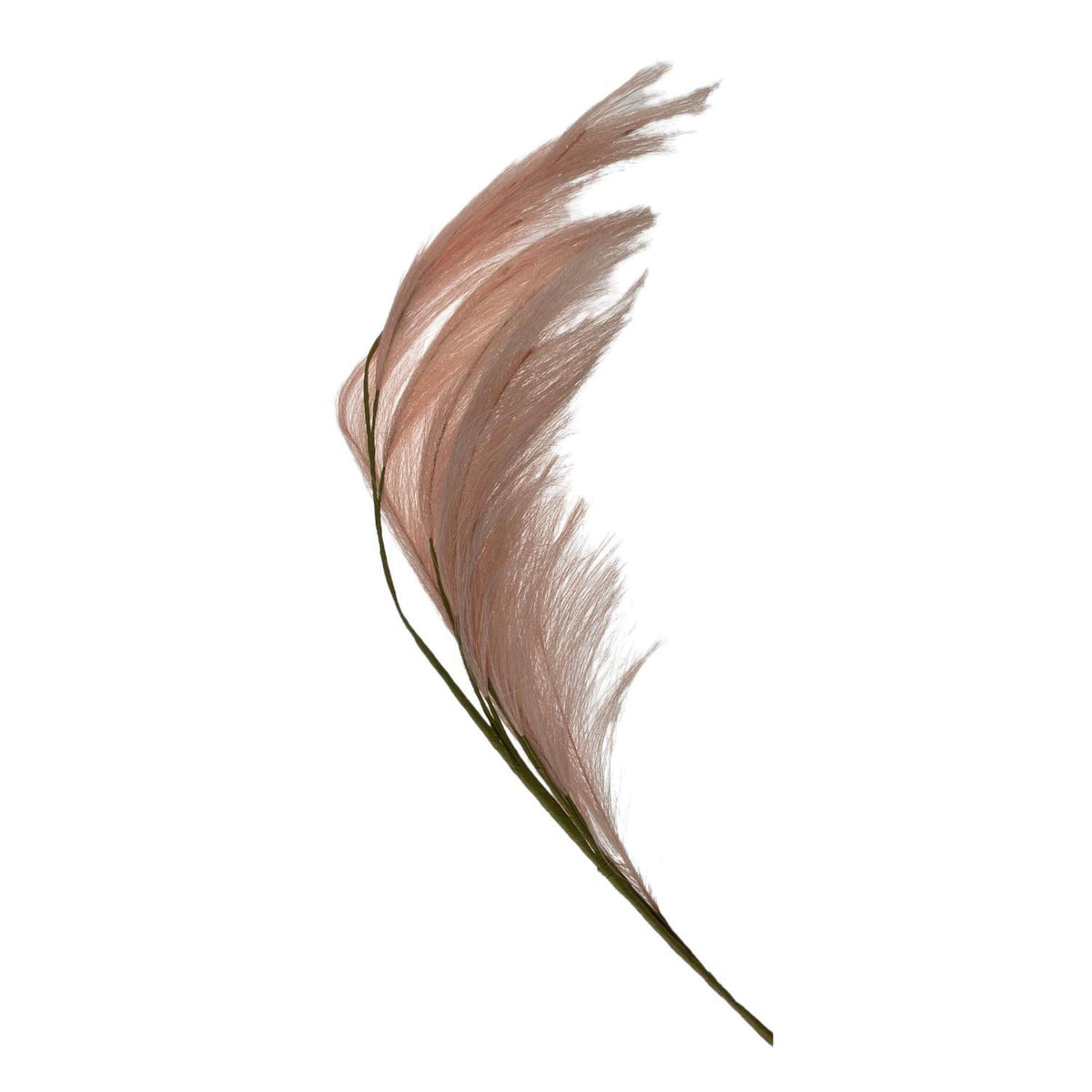 Planta Art 110X24X12 Beige Pampas F253