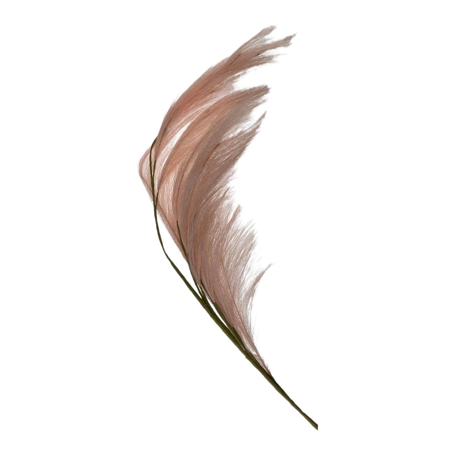 Planta Art 110X24X12 Beige Pampas F253