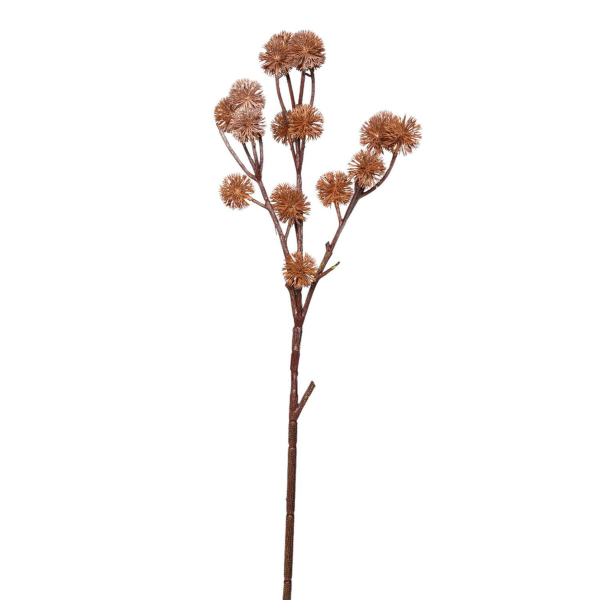 Planta Art 9X9X88.90 Rama Café F253