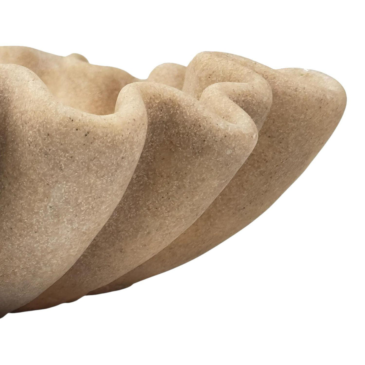 Centro De Mesa 9X31Cm Beige Bali F253