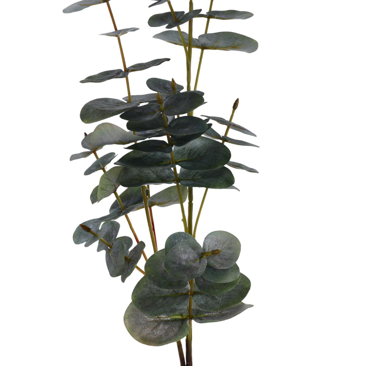 Hojas Sueltas 88Cm Verde Eucalipto F253