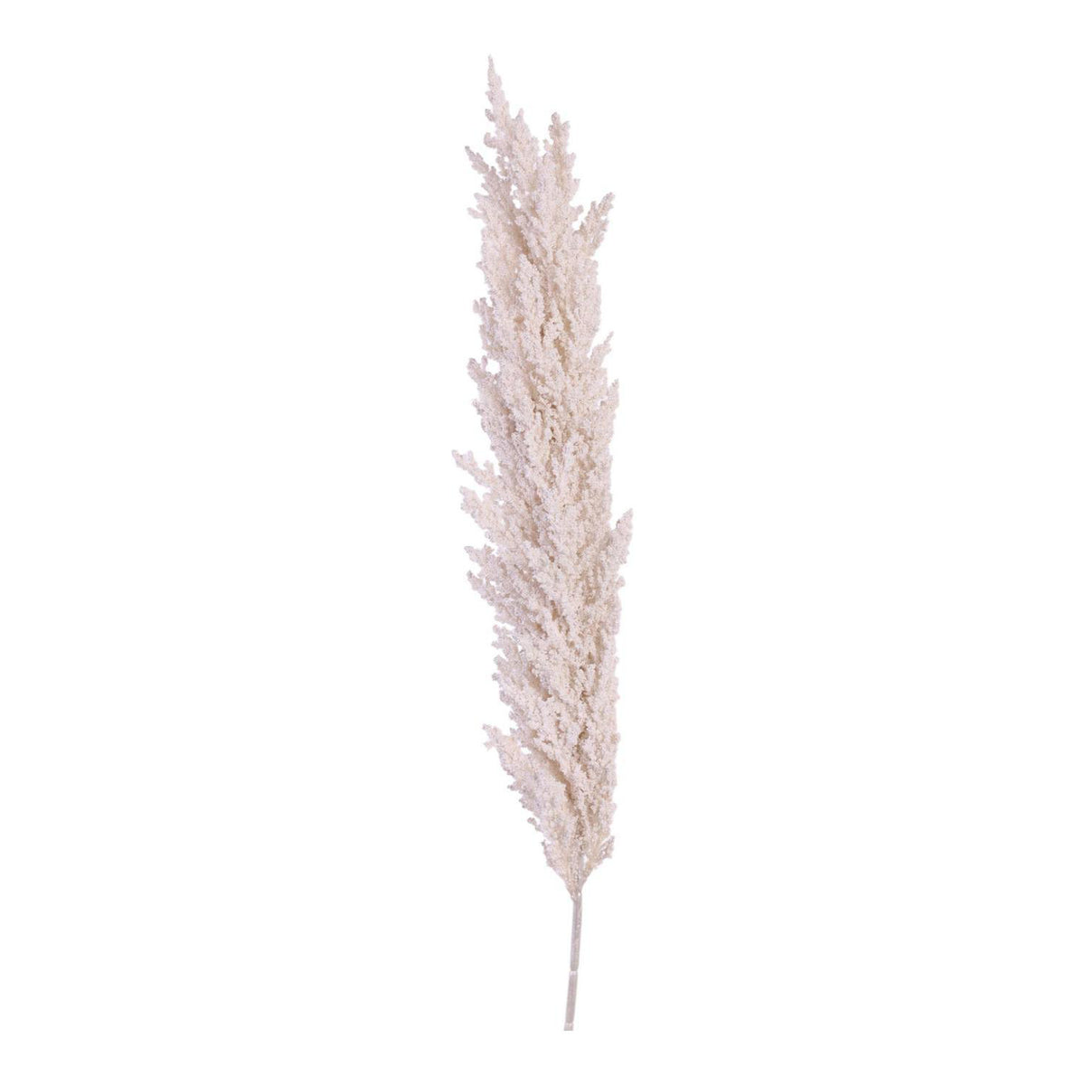 Flor Pampas 100X15Cm Bohoho Exh F261