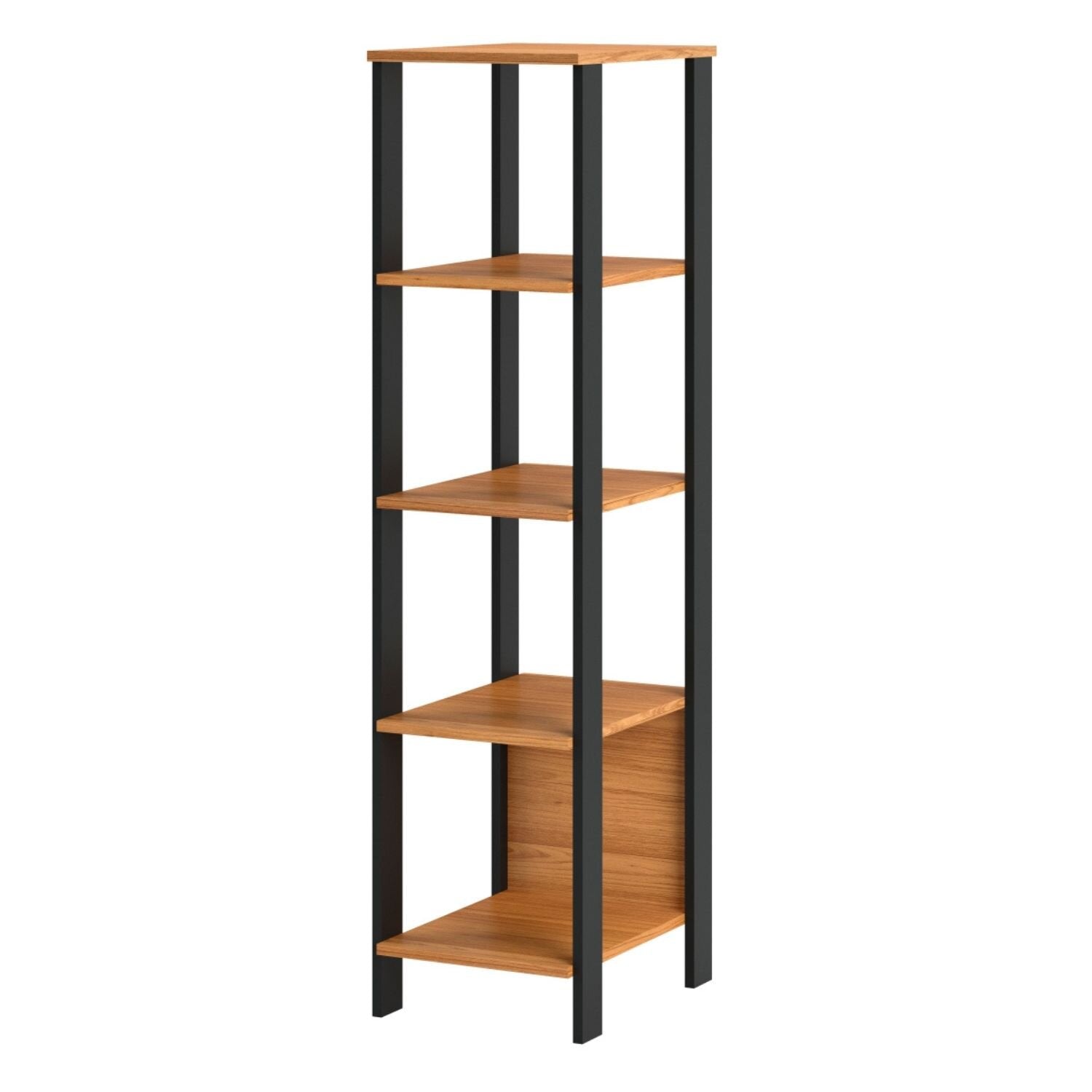 Biblioteca Cox Natural, Negro
