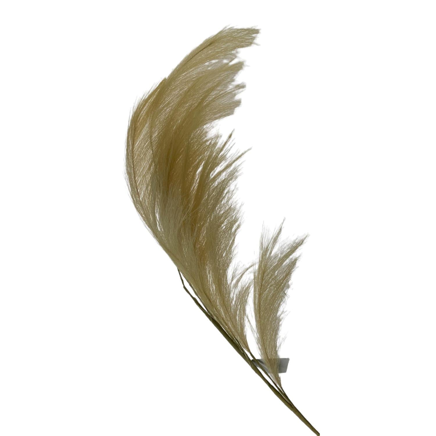 Flores Y Hojas Sueltas 110X24X12 Beige Pampas