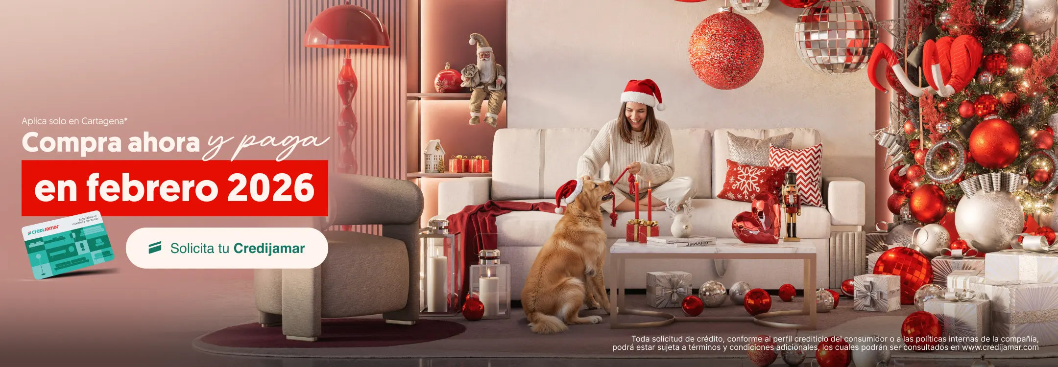 Compra ahora  y paga en febrero 2026