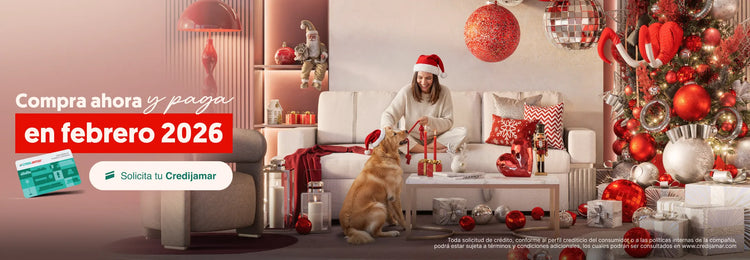 Compra ahora y paga en febrero 2026