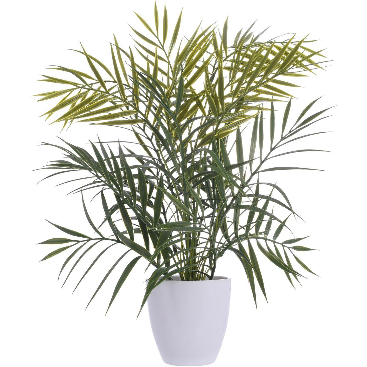 Planta Artificial 8X8X44 Blanco, Verde Camadorea Salon