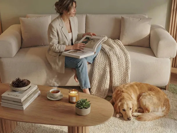 Asesoría de diseño y blog Jamar